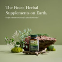 Gaia Herbs Oil Of Oregano - Immune And Antioxidant Support Supplement To Help Sustain Overall Well-Being - With Oregano Oil, Carvacrol, And Thymol - 180 Vegan Liquid Phyto-Capsules (90-Day Supply)