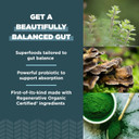 Ancient Nutrition Regenerative Organic Certified Turmeric Capsules, Once Daily, Use As A Joint Supplement And Supports Inflammation, Gluten Free, Paleo And Keto Friendly, 90 Count