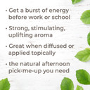 Plant Therapy Energy Essential Oil Blend 10 Ml (1/3 Oz) Refreshing, Energizing Blend 100% Pure, Pre-Diluted Roll-On, Natural Aromatherapy, Therapeutic Grade
