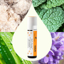 Plant Therapy Kidsafe Itch Away Essential Oil Blend Pre-Diluted Roll-On 10 Ml (1/3 Oz) 100% Pure, Therapeutic Grade Plant Therapy Kidsafe Itch Away Essential Oil Blend Pre-Diluted Roll-On 10 Ml (1/3 Oz) 100% Pure, Therapeutic Grade