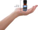 Plantlife Germ Buster Essential Oil Blend (100% Pure And Natural, Therapeutic Grade) From Plantlife