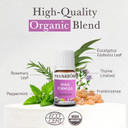 Pranarom - Sinus Formula Essential Oil Blend (5Ml) - Olive Oil, Eucalypts, Peppermint, Rosemary, Frankincense, & Thyme - 100% Pure Essential Oil For Topical Use | Usda And Ecocert Certified Organic0.17 Fl Oz (Pack Of 1) Pranarom - Sinus Formula Essential Oil Blend (5Ml) - Olive Oil, Eucalypts, Peppermint, Rosemary, Frankincense, & Thyme - 100% Pure Essential Oil For Topical Use | Usda And Ecocert Certified Organic0.17 Fl Oz (Pack Of 1)