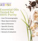 Aura Cacia Discover 100% Pure Lavender Essential Oil | Gc/Ms Tested For Purity | 7.4 Ml (0.25 Fl. Oz.) In Box With Uses Insert | Lavandula Angustifolia, 190847