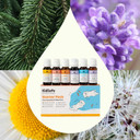 Plant Therapy Kidsafe Essential Oil Starter Set For Focus, Calming, Sleep, Immune Support 100% Pure, 6 Undiluted Blends, Natural Aromatherapy, Therapeutic Grade 10 Ml (1/3 Oz) Plant Therapy Kidsafe Essential Oil Starter Set For Focus, Calming, Sleep, Immune Support 100% Pure, 6 Undiluted Blends, Natural Aromatherapy, Therapeutic Grade 10 Ml (1/3 Oz)