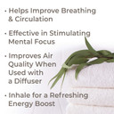 Plant Therapy Eucalyptus Pre-Diluted Roll-On 10Ml (1/3 Oz) 100% Pure, Therapeutic Grade