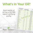 Plant Therapy Eucalyptus Pre-Diluted Roll-On 10Ml (1/3 Oz) 100% Pure, Therapeutic Grade