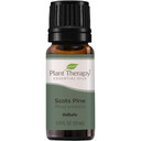 Plant Therapy Scots Pine Essential Oil 10 Ml (1/3 Oz) 100% Pure, Undiluted, Therapeutic Grade