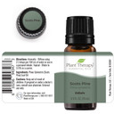 Plant Therapy Scots Pine Essential Oil 10 Ml (1/3 Oz) 100% Pure, Undiluted, Therapeutic Grade