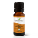Plant Therapy Usda Certified Organic Cinnamon Cassia Essential Oil 10 Ml (1/3 Oz) 100% Pure, Undiluted, Therapeutic Grade