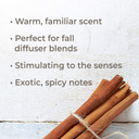 Plant Therapy Usda Certified Organic Cinnamon Cassia Essential Oil 10 Ml (1/3 Oz) 100% Pure, Undiluted, Therapeutic Grade