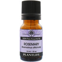 Plantlife Rosemary Aromatherapy Essential Oil - Straight From The Plant 100% Pure Therapeutic Grade - No Additives Or Fillers - 10 Ml