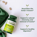 Banyan Botanicals Amla (Amalaki) Tablets  Organic Emblica Officinalis  Natural Source Of Vitamin C And Antioxidants  Supports Digestion And Cleansing*  90 Tablets  Non Gmo Sustainably Sourced
