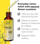Bach Rescue Remedy Dropper 20Ml, Natural Stress Relief, Homeopathic Flower Essence, Vegan, Gluten & Sugar-Free, Non-Habit Forming