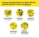 Bach Rescue Remedy Dropper 10Ml Bundle, Non-Alcohol Formula, Natural Stress Relief, Homeopathic Flower Essence, Vegan, Gluten & Sugar-Free, Non-Habit Forming, 2-Pack