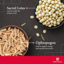 Health Concerns Clearing - Reproductive & Urinary Tract Health Support For Women - 90 Capsules