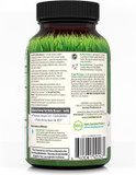 Irwin Naturals Stored-Fat Belly Burner - 60 Liquid Soft-Gels, Pack Of 2 - Helps Support The Breakdown Of Stored Fat - 40 Total Servings