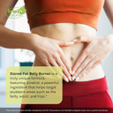Irwin Naturals Stored-Fat Belly Burner - 60 Liquid Soft-Gels, Pack Of 2 - Helps Support The Breakdown Of Stored Fat - 40 Total Servings