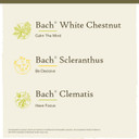 Bach Original Flower Remedies, Clarity Of Mind Kit, For Focus And Mindfulness, Natural Homeopathic Flower Essence, Holistic Wellness, Vegan, 3 X 20Ml Droppers