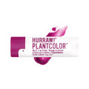 Hurraw! Plantcolor Lip Color No. 2: Red/Purple Shade. Highly Pigmented Tinted Balm And Lipstick Alternative. Vegan And All-Natural. Easy Application. Buildable. First Of Its Kind. Made In Usa