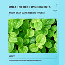 Bioaqua Moisturizing Lip Care Gel Balm Long Lasting Hydration Cracked Skin Repair Travel Friendly Size 10G 0.35Fl.Oz