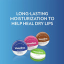 Vaseline Lip Therapy Lip Balm Tin Rosy Lips 0.6 Oz 6 Count