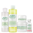 Mario Badescu Acne Starter/Control/Repair Skin Care Kit For All Types Of Breakouts | Facial Set Ideal For Combination Or Oily Face For Healthy, Clear Complexion Mario Badescu Acne Starter/Control/Repair Skin Care Kit For All Types Of Breakouts | Facial Set Ideal For Combination Or Oily Face For Healthy, Clear Complexion