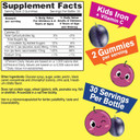 Wellyeah Iron Gummies For Kids With Vitamin C - Anemia Support, Red Blood Cell Formation, Energy, And Immunity Support Gummy, Iron Supplements For Kids - Gmo Free, Natural Grape Flavor - 60 Count