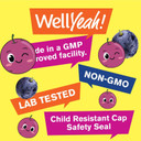 Wellyeah Iron Gummies For Kids With Vitamin C - Anemia Support, Red Blood Cell Formation, Energy, And Immunity Support Gummy, Iron Supplements For Kids - Gmo Free, Natural Grape Flavor - 60 Count