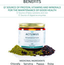 Actumus, Regeneration - Antioxidant And Beta-Carotene Source To Help With Immune Function, Made With Organic And Wild Picked Ingredients | 240 Vegicaps