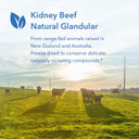 Allergy Research Group - Kidney Beef - Natural Glandular, Kidney Support, Histamine - 100 Vegicaps