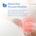 Allergy Research Group - Pancreas Pork - Natural Glandular, Digestive Support - 60 Vegicaps