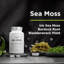 Amen Sea Moss Supplement - 1000Mg Organic Irish Sea Moss, Bladderwrack, Burdock - Vitamin C, Aloe Vera, Black Pepper - Seaweed Superfood, Vitamins, Minerals, And Antioxidants - Non-Gmo - 90 Capsules Amen Sea Moss Supplement - 1000Mg Organic Irish Sea Moss, Bladderwrack, Burdock - Vitamin C, Aloe Vera, Black Pepper - Seaweed Superfood, Vitamins, Minerals, And Antioxidants - Non-Gmo - 90 Capsules