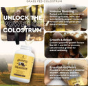 Ancestral Supplements Grass Fed Beef Colostrum Supplement, 3000 Mg, Offers Immune Support And Promotes Gut Health, Athletic Performance, Healthy Iron Levels, Growth And Repair, Non Gmo, 180 Capsules