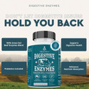 Ancestral Supplements Grass Fed Beef Intestines With Stomach (Tripe), 3000Mg, Digestion Supplement Supports Acid Reflux And Gut, Intestine And Digestive Health, Non Gmo, 180 Capsules