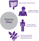 Aor, Mastica Chios, Vegan Natural Supplement To Support Gastrointestinal Health, 120 Servings (120 V-Capsules)