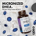 Bluebonnet Nutrition Intimate Essentials Dhea 50Mg, For Fertility Function And Optimal Hormone Levels In Both Men And Women*, Non-Gmo, Kosher, Vegan, Gluten-Free, 60 Vegetable Capsules, 60 Servings
