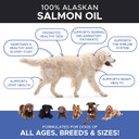 Pethonesty Wild Alaskan Salmon Oil For Dogs + 10 In 1 Dog Multivitamin Bundle - 100% Natural Fish Oil With Omega3S, Helps With Sensitive Skin And Normal Shedding - Supports Joints, Brain & Heart Healt
