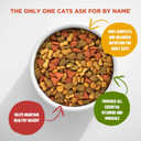 Meow Mix Indoor Formula Dry Cat Food, 3.15 Pound Bag (Pack Of 4)3.15 Pound (Pack Of 4)
