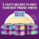 Stella & Chewyã¢ÂS Carnivore Cravings Purrfect Pate Canned Wet Cat Food Variety Pack ÃÂ (2.8 Ounce Cans, Case Of 12)Purple