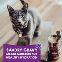 Stella & Chewyã¢ÂS Carnivore Cravings Purrfect Pate Canned Wet Cat Food Variety Pack ÃÂ (2.8 Ounce Cans, Case Of 12)Purple