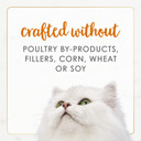 Purina Fancy Feast Grain Free Wet Cat Food Pate Gourmet Naturals Wild Alaskan Salmon Recipe - 3 Oz. Can (Pack Of 12)3 Ounce (Pack Of 12)