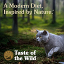 Taste Of The Wild 418652 Grain Free Real Meat Recipe Premium Wet Canned Stew Cat Food (Case Of 24), 3Oz
