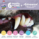 Dental Fresh Advanced Plaque And Tartar Water Additive, 8Oz  Dog Teeth Cleaning Formula To Freshen Breath And Improve Overall Oral Health Dental Fresh Advanced Plaque And Tartar Water Additive, 8Oz  Dog Teeth Cleaning Formula To Freshen Breath And Improve Overall Oral Health