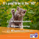 Vital Essentials Freeze Dried Raw Cat Food, Turkey Mini Nibs Entree, 8 Oz8.00 Ounce (Pack Of 1) Vital Essentials Freeze Dried Raw Cat Food, Turkey Mini Nibs Entree, 8 Oz8.00 Ounce (Pack Of 1)