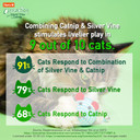 Cattraction With Silver Vine & Catnip Cat Toy Variety Pack, 20 Count