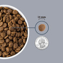 Acana Adult Dry Dog Food, Light & Fit Recipe, Grain Free Dog Food, 4.5Lb4.5 Pound (Pack Of 1)