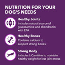 Iams Advanced Health Mobility Support Chicken And Whole Grain Recipe Adult Dry Dog Food, 6 Lb. Bag