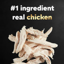 Cesar Simply Crafted Adult Wet Dog Food Meal Topper Variety Pack, Chicken And Chicken, Carrots & Green Beans, 1.3 Oz. Tubs, 8 Count (Pack Of 2)1.3 Ounce (Pack Of 16)