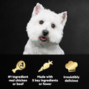 Cesar Simply Crafted Adult Wet Dog Food Meal Topper Variety Pack, Chicken, Carrots, Potatoes & Peas And Beef, Chicken, Purple Potatoes, Green Beans & Red Rice, 8 Count (Pack Of 2)