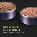 Pro Plan Sport Wet Beef & Rice Entrã£Â©E And Chicken And Rice Entrã£Â©E Puppy Wet Dog Food Variety Pack - (12) 13 Oz. Cans